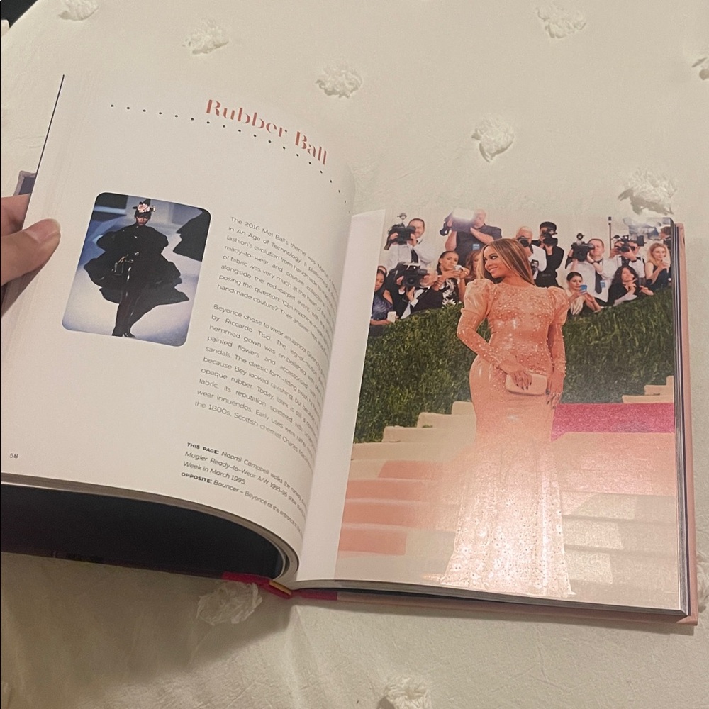 Beyoncé and the Clothes She Wears Book - Pink and Gray - Picture 5 of 9